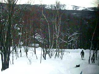 1998/01/10 15:00 積雪40cm(不定期画像DB)